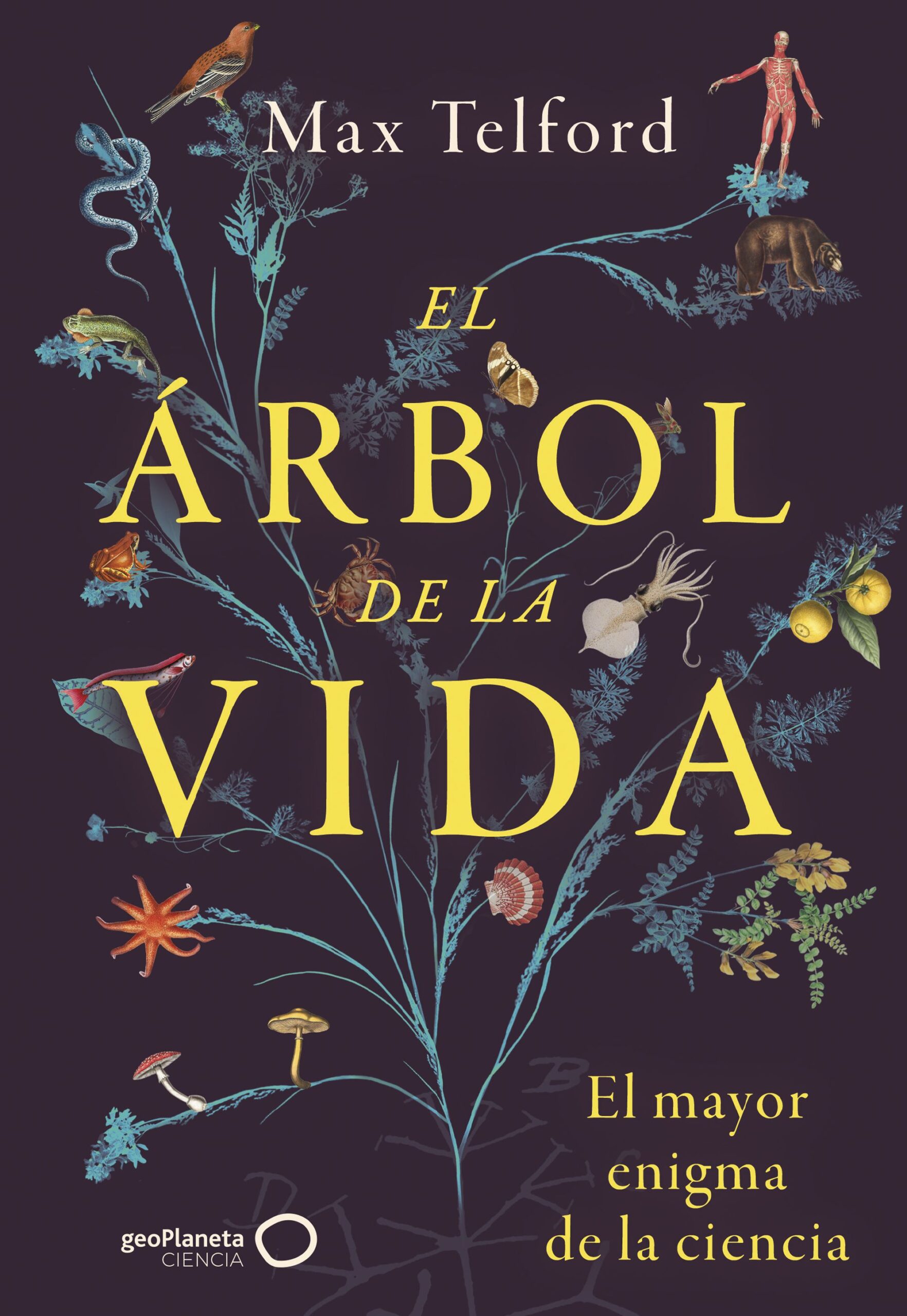 EL ÁRBOL DE LA VIDA