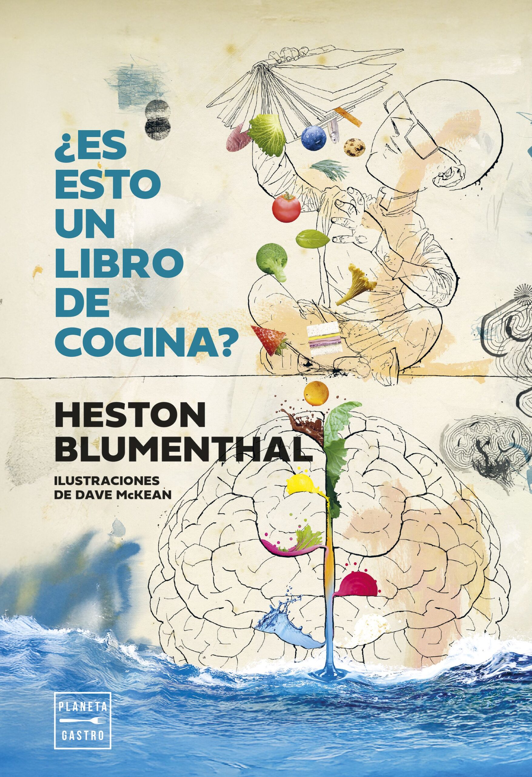 ¿ES ESTO UN LIBRO DE COCINA?