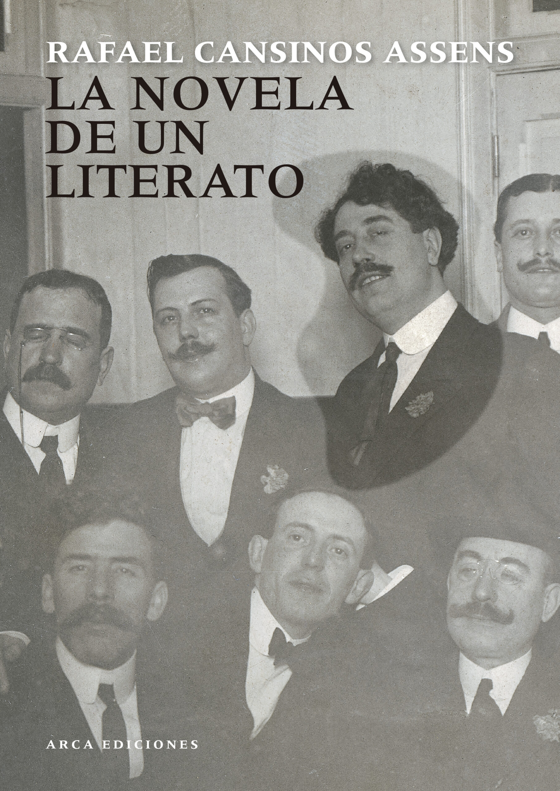 LA NOVELA DE UN LITERATO