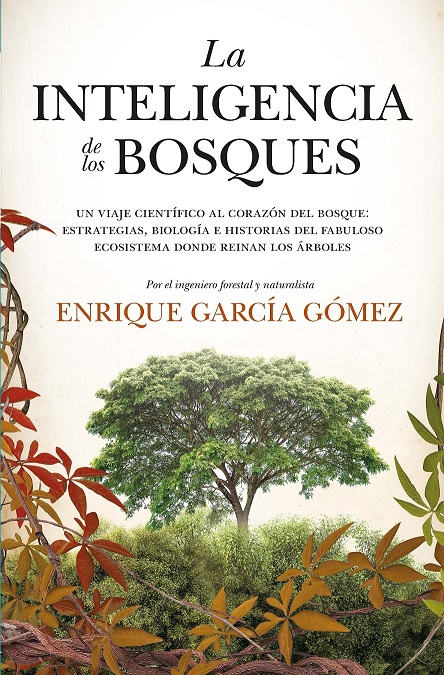 INTELIGENCIA DE LOS BOSQUES (LEB)