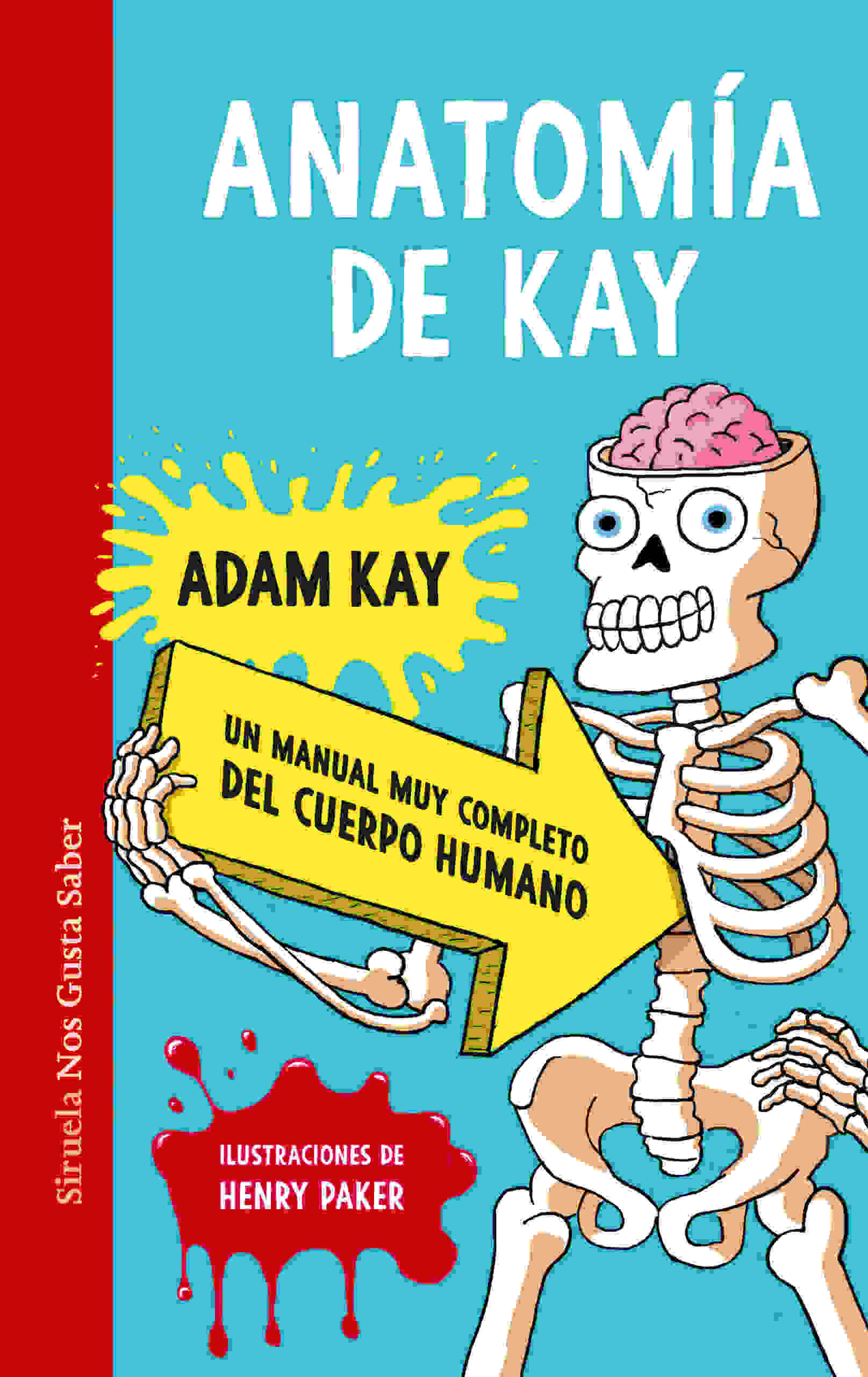 ANATOMÍA DE KAY