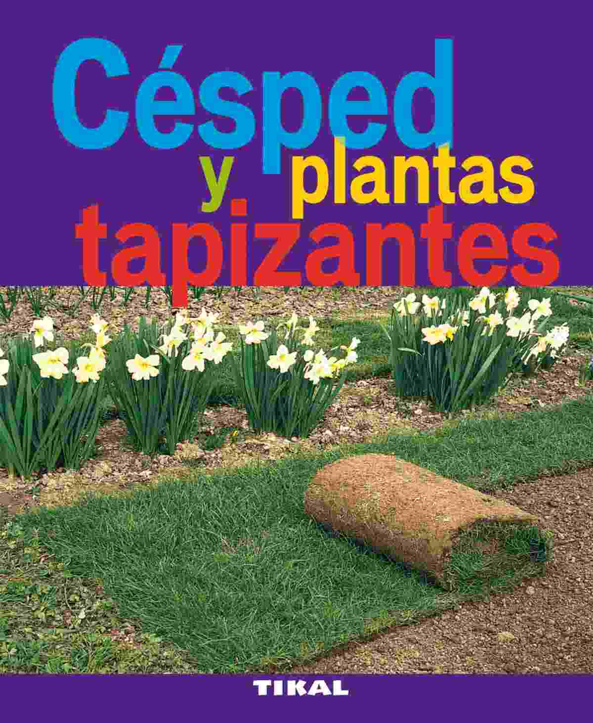 CÉSPED Y PLANTAS TAPIZANTES