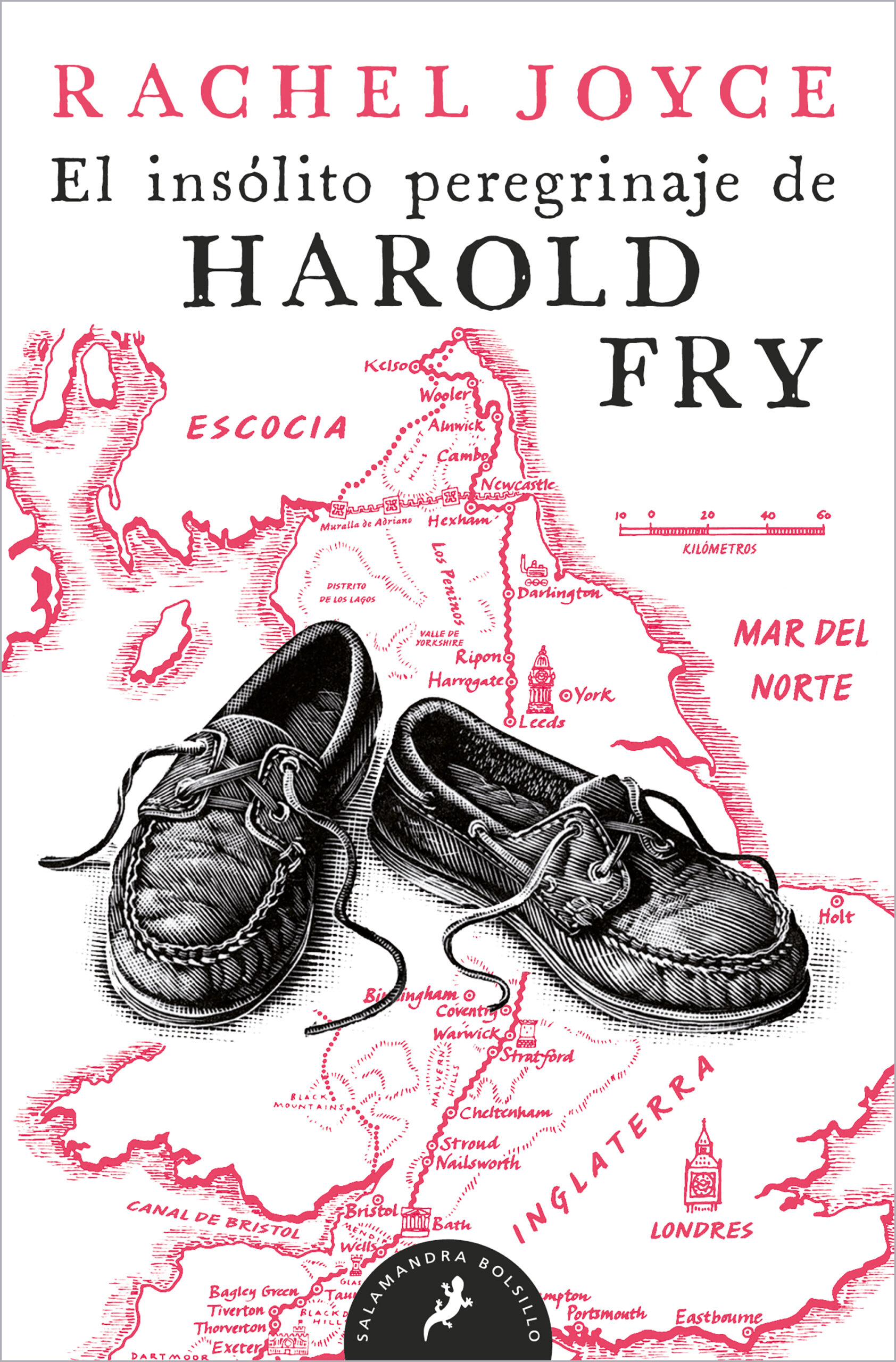 EL INSÓLITO PEREGRINAJE DE HAROLD FRY
